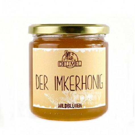 DELIMEL German Wildflower honey 500g overseas local original