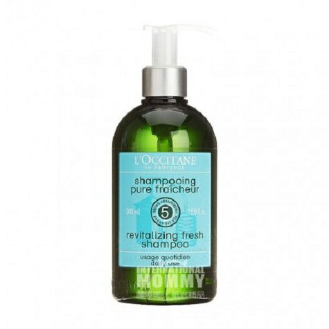 L'OCCITANE French herbal essence pure shampoo, overseas original version