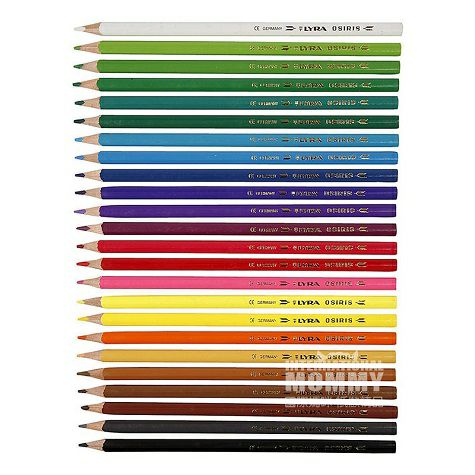LYRA German children's water-soluble colored pencils 24pcs overseas local original