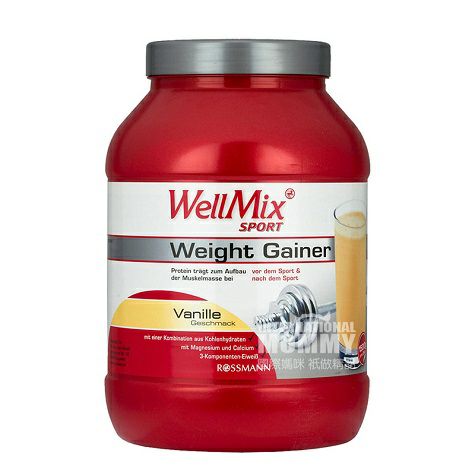 WellMix German sports muscle protein powder vanilla flavor