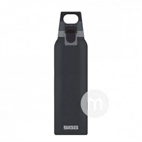 SIGG Swiss hot cold series locking ...