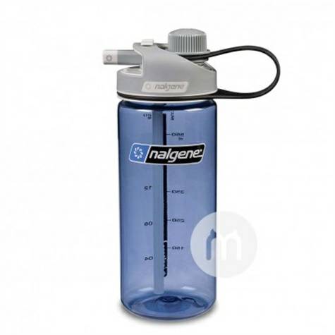 Nalgene US portable straw cup 650ml