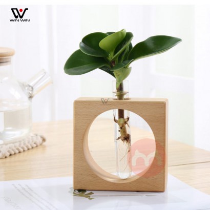 Winwin Glass Office Tabletop Flower Vase Hydroponic Plant Home Decor Wooden Rack Test Tube Mini Vases