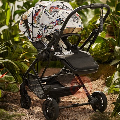Babycare Can be changed to painter's high view stroller