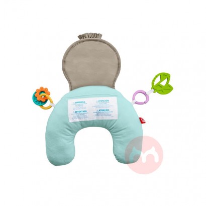 Fisher Price removable baby play mat