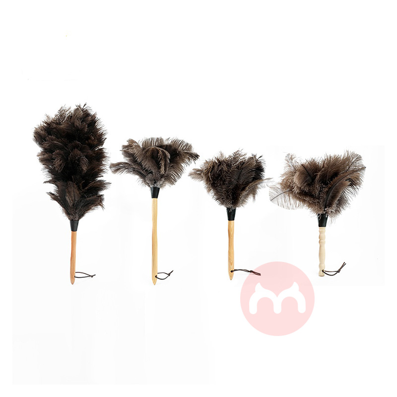 Dingjie Household Cleaning Tools Feather Brush Duster Soft ostrich Dust Cleaner with Wooden Handle