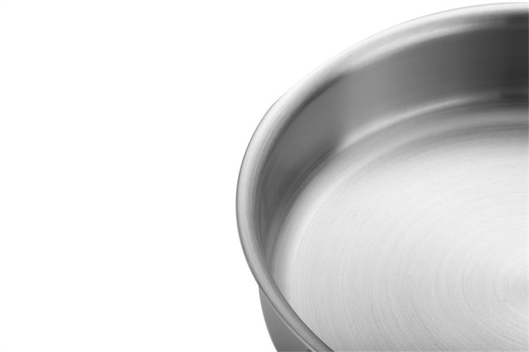 Stainless steel pan